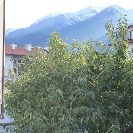Penzion Strakova House