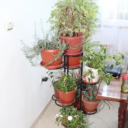 Pensionat Strakova House 3*